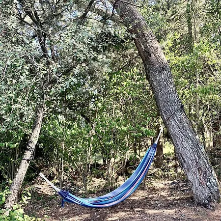 Provencal Mansion With Pool Near